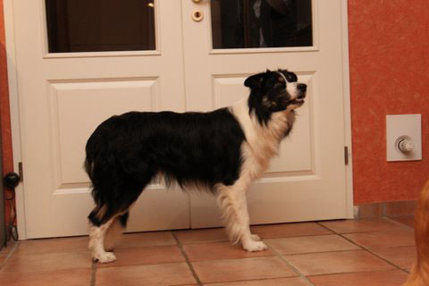 Standbild 10 Monate alt (25.12.2009)