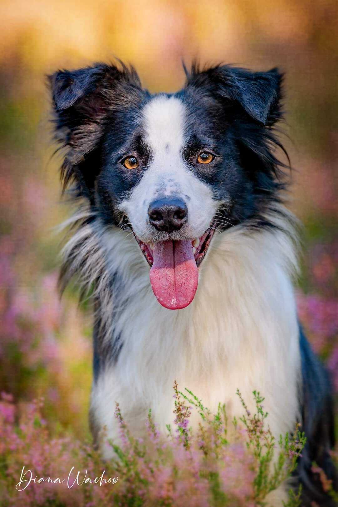 megan-heide-2