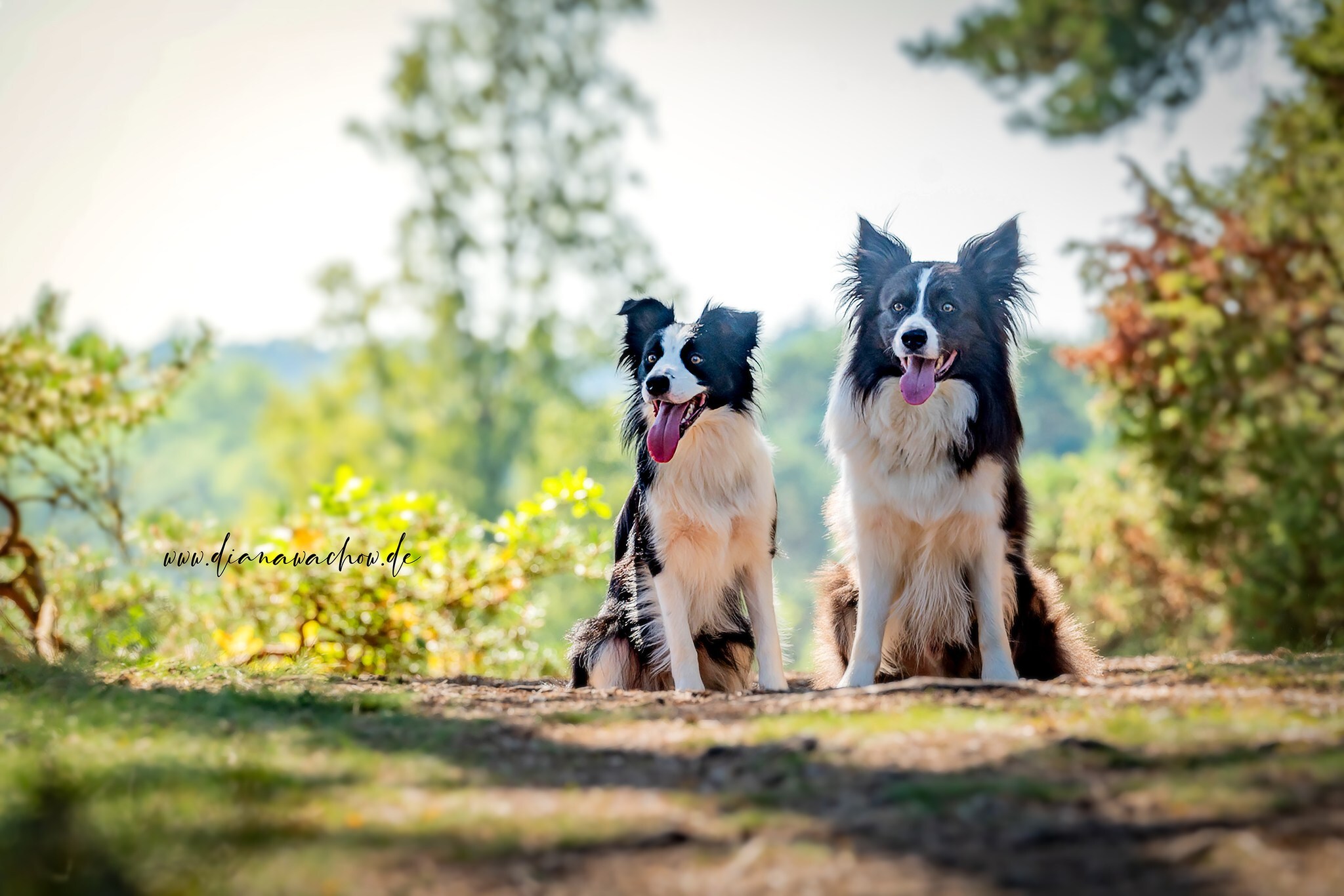 megan-und-elvis-1