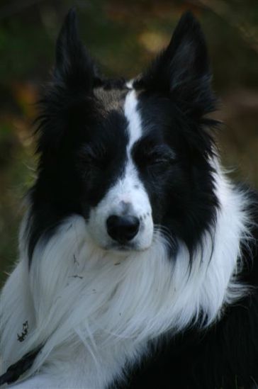 Momo mit fast 9 Jahren