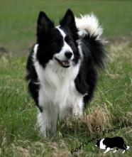 Momo 8 Jahre alt 