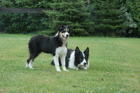 Momo und Devon´s Schwester Heavy Juli 2009