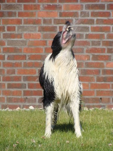 Herr Momo und der Wasserstrahl Juni 2010